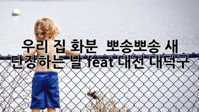우리 집 화분, 🪴✨ 뽀송뽀송 새 단장하는 날! (feat. 대전 대덕구)